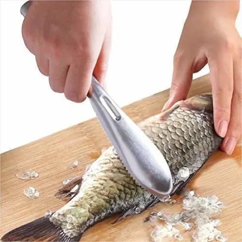 Cepillo Para Escamas De Pescado Con Dientes Acero Inoxidable - Image 3