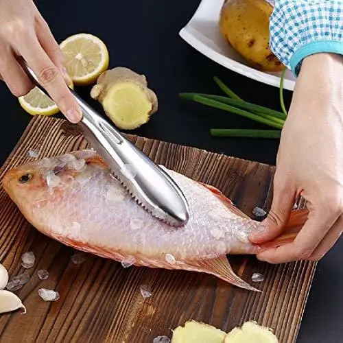 Cepillo Para Escamas De Pescado Con Dientes Acero Inoxidable - Image 6