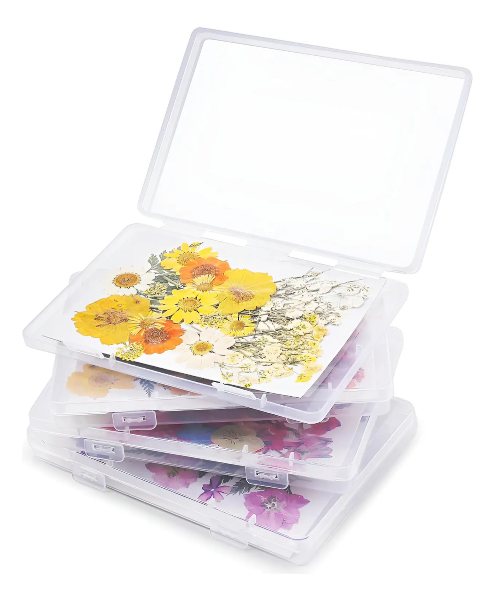 Kit Preservación Flores Secas Con Papel Y Desecante 4un 16x1