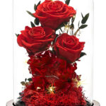 Regalo Para Mamá: Rosa Roja En Domo De Vidrio Día Madres
