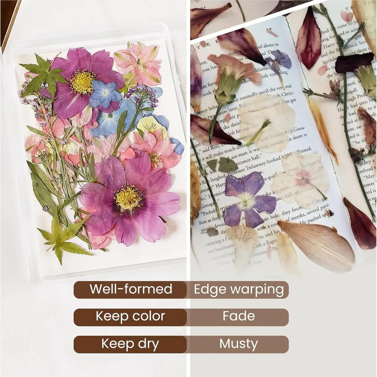 Kit Preservación Flores Secas Con Papel Y Desecante 4un 16x1 - Image 3
