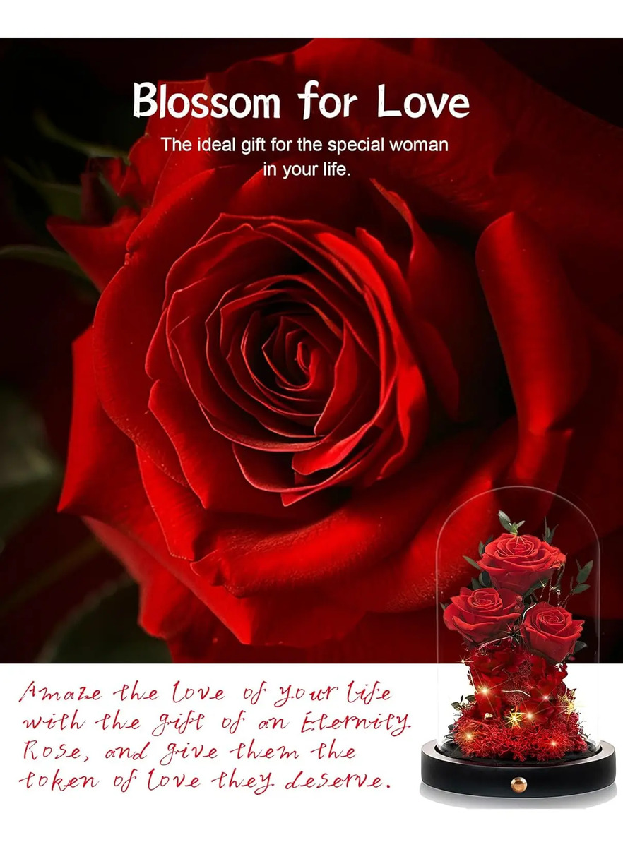 Regalo Para Mamá: Rosa Roja En Domo De Vidrio Día Madres - Image 4